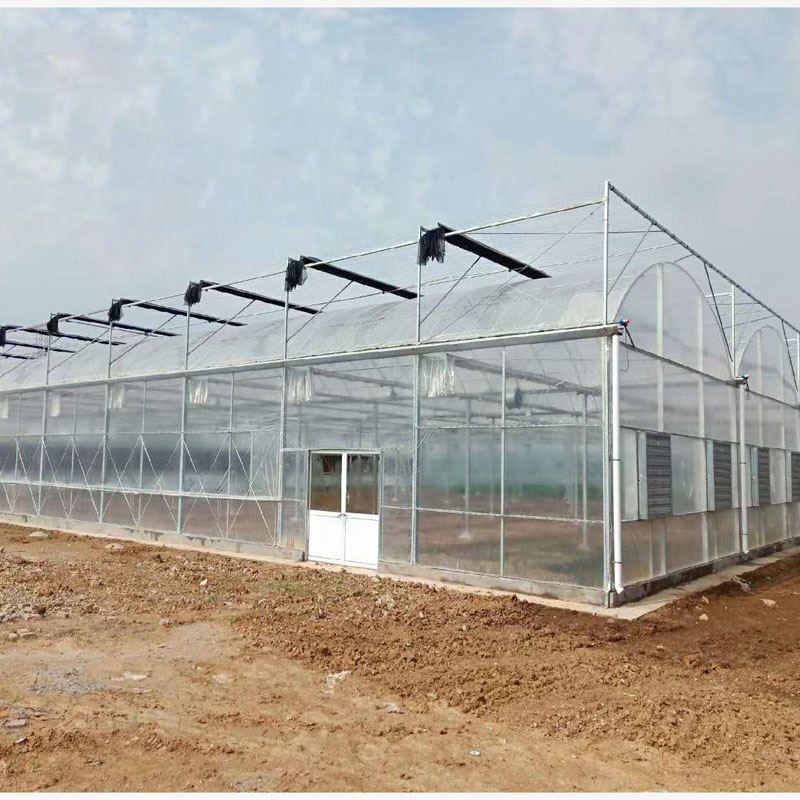 multi span film greenhouse multi span film greenhouse
