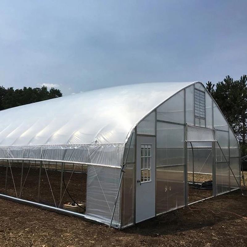 single span film greenhouse single span film greenhouse