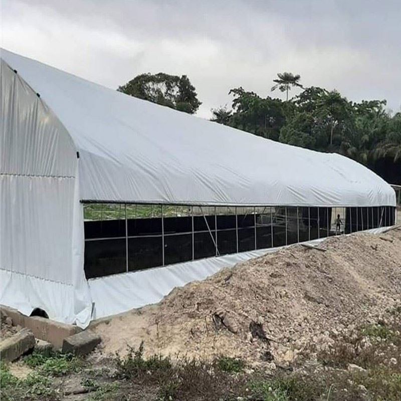 blackout greenhouse.jpg blackout greenhouse.jpg