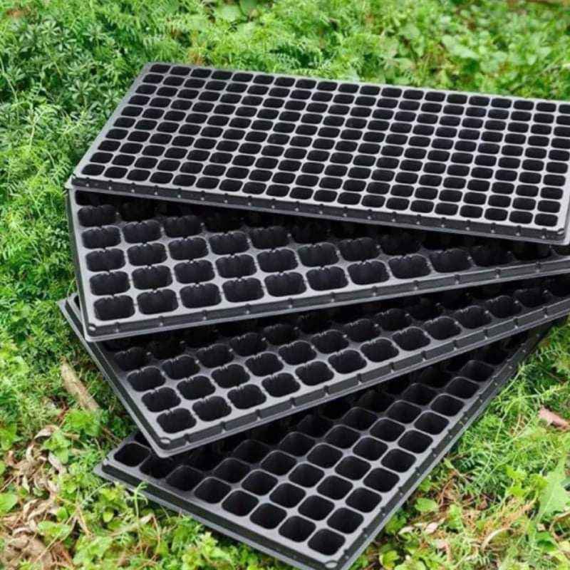 seeding tray