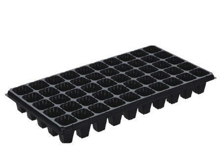 seeding tray 1