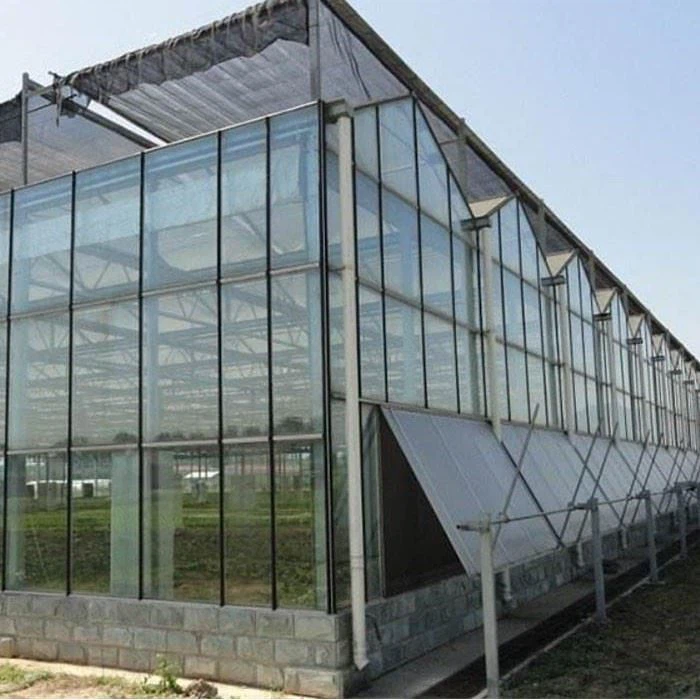 Film Greenhouse Glass Greenhouse PC Greenhouse With Irrigation Hydroponic System For Mushroom Vegetable