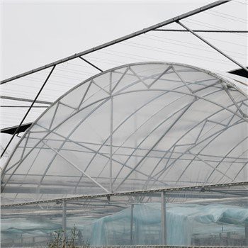 Filmové zelené domy