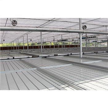 Skleníkové semenné lůžko