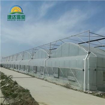 Zeleninový Salát Skleník S Hydroponické