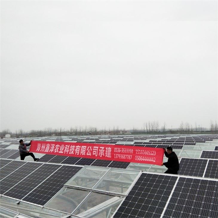 Solar Panel Greenhouse