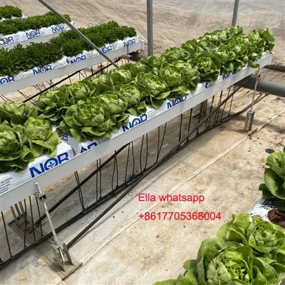 Hydroponický žlab pro výsadbu rajčat